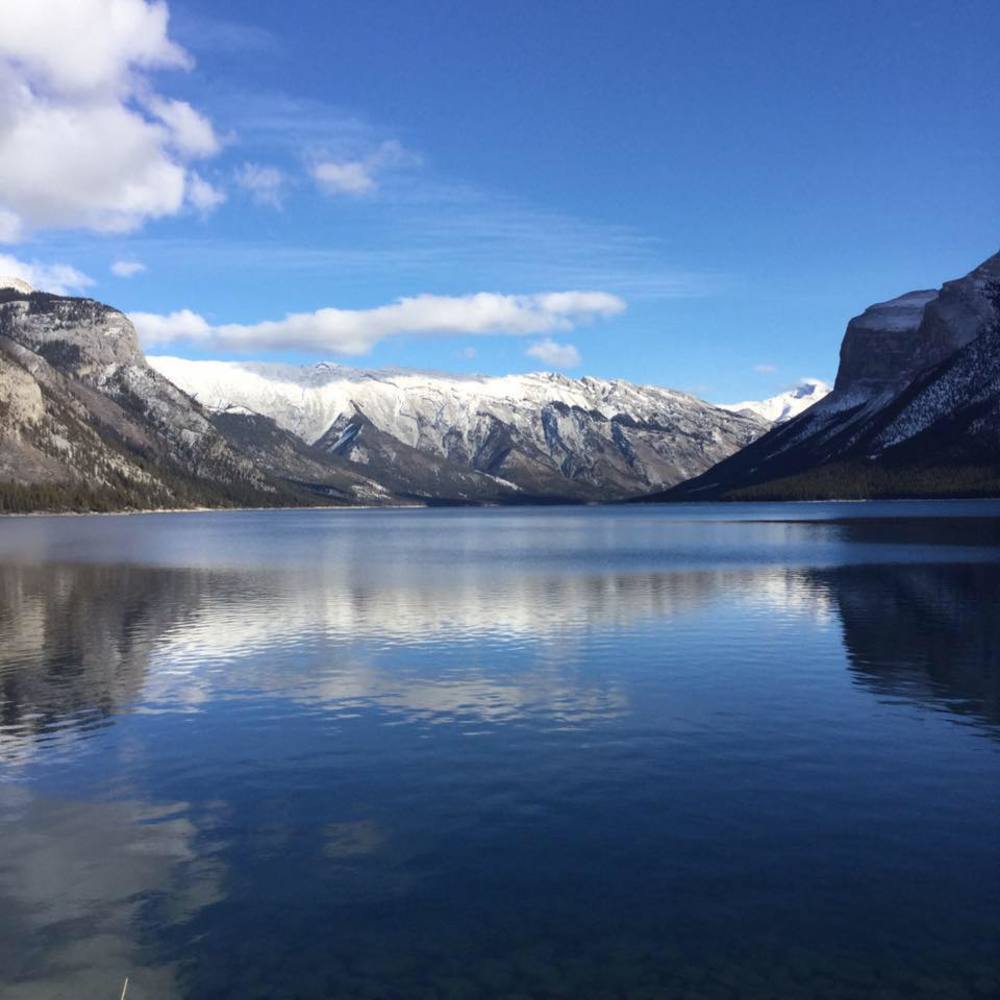 Meet your Posher, Jayne